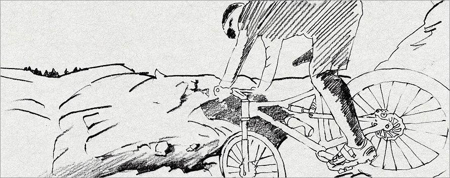 黑眼睛廣告在法拉利自行車(chē)廣告項(xiàng)目提案設(shè)計(jì)當(dāng)中的創(chuàng)意設(shè)計(jì)提案稿之七